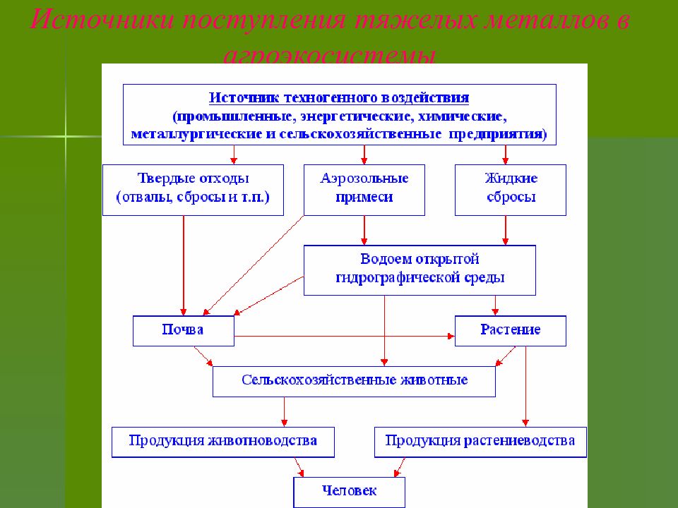 Источник поступления. Железо источник поступления в окружающую среду. Источники поступления товаров. Пути поступления тяжелых металлов в растения. Перечислить источники поступления товара на поп.