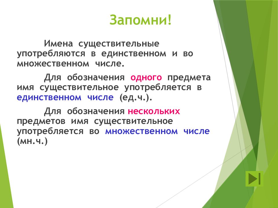 Существительные употребляются. Запомни наши имена