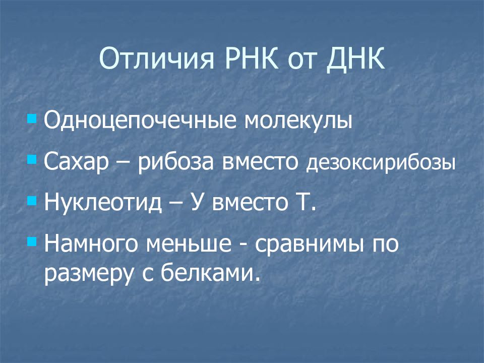 Отличия рнк. Отличие ДНК от РНК.