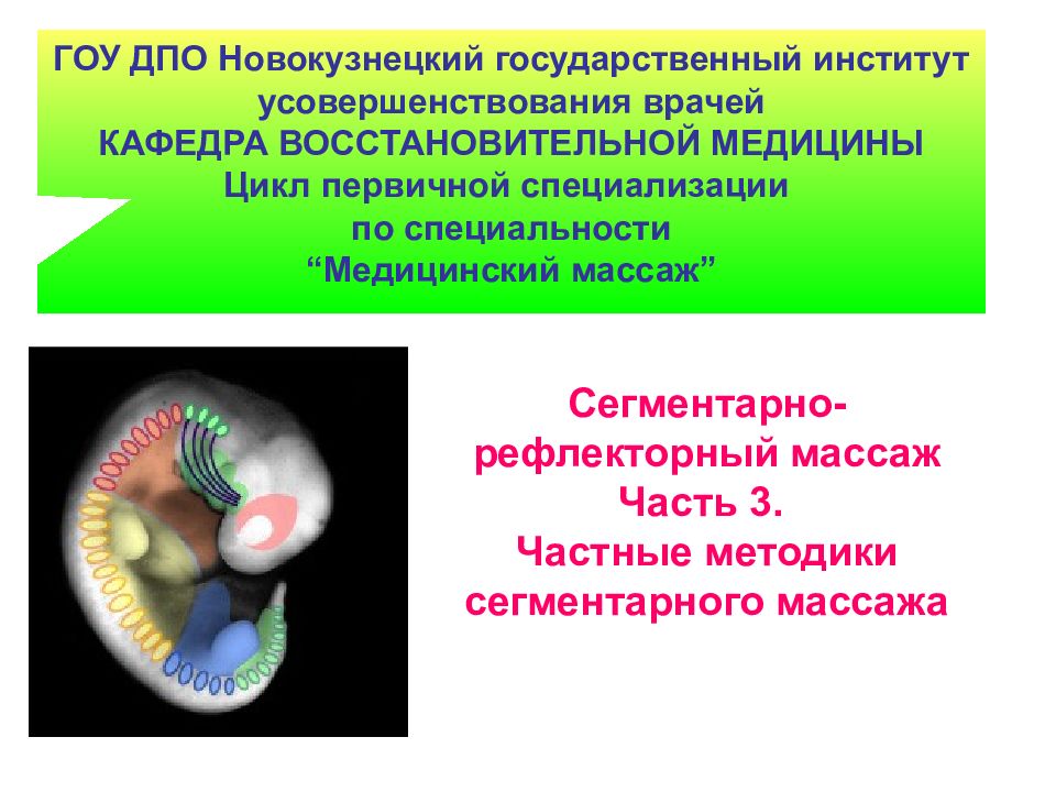 Сегментарно-рефлекторный массаж Часть 3. Частные методики сегментарного