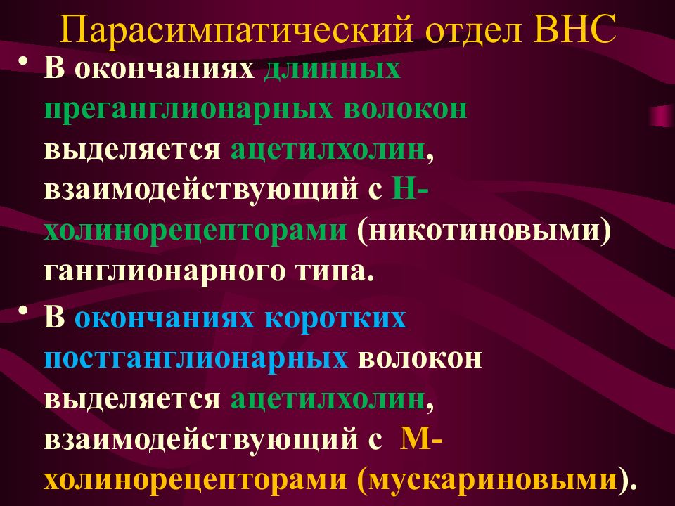 Автономная вегетативная нервная система презентация