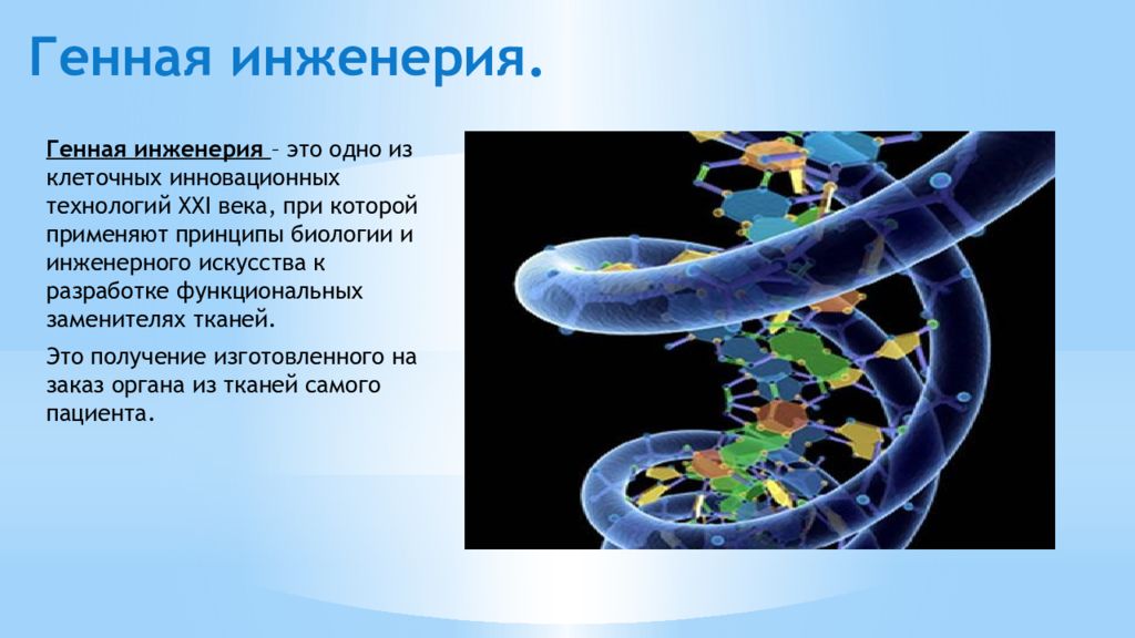 Инженерия это. Генная инженерия. Генетическая (генная) инженерия. Генно клеточная инженерия. Принципы генетической инженерии.