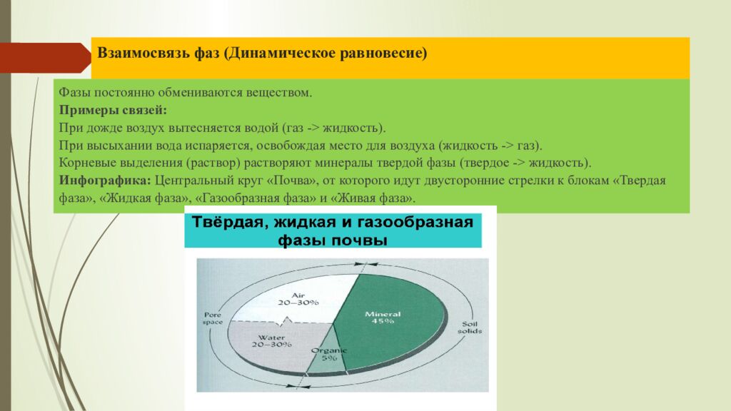 Взаимосвязь фаз (Динамическое равновесие)