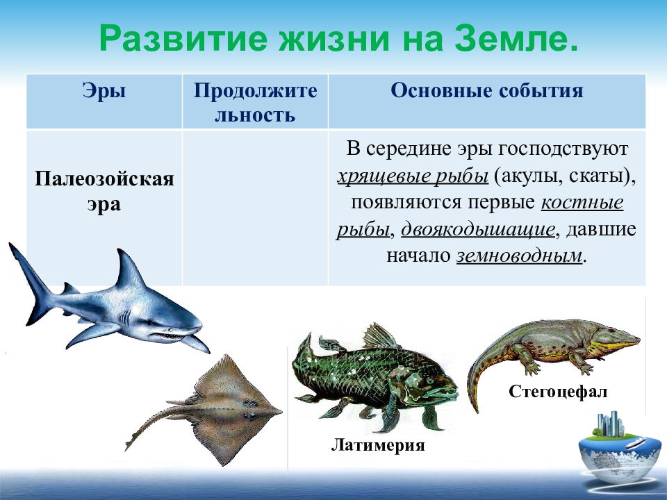 Презентация основные этапы развития животного мира на земле