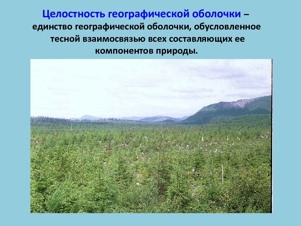 Природные закономерности. Целостность географической оболочки. Единство и целостность географической оболочки. Цельность географической оболочки. Целость географической оболочки это.