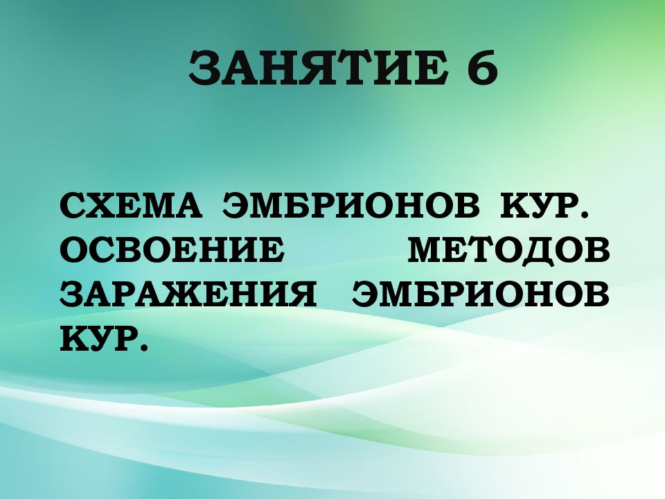 Схема эмбрионов кур. Освоение методов заражения эмбрионов кур.