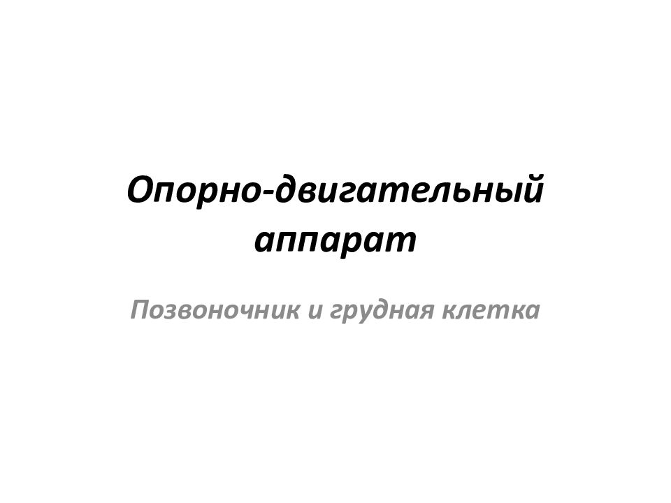 Опорно-двигательный аппарат