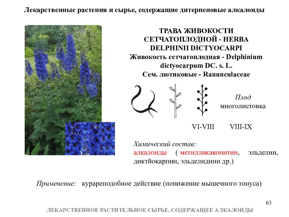 Растения содержат. Тропические лекарственные растения содержащие алкалоиды. Травы содержащие алкалоиды список. Лекарственное растительное сырье алкалоиды. Лекарственное сырье содержащее алкалоиды.