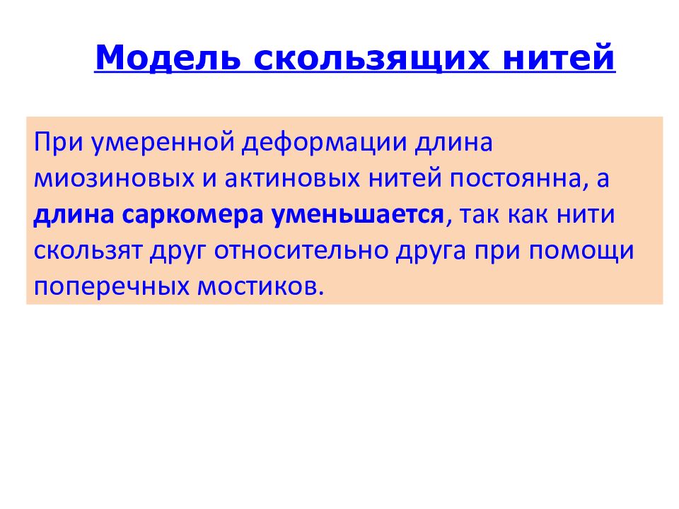 Скользящие нити. Модель скользящих нитей. Модель мышечного сокращения(модель скользящих нитей)3 пункта. Модель скольжения нитей. Принцип скользящих нитей.