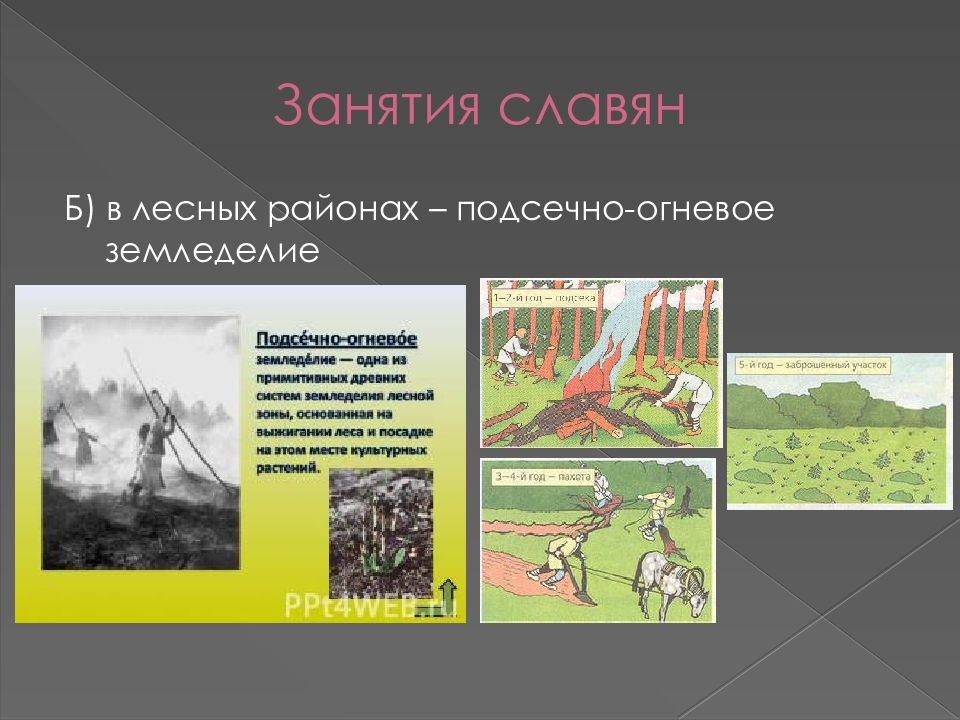 Сравните подсечно огневую систему земледелия. Подсечно-огневое земледелие восточных славян. Подсечное земледелие в древней Руси. Появление подсечно-огневого земледелия. Занятия восточных славян подсечно огневое земледелие.