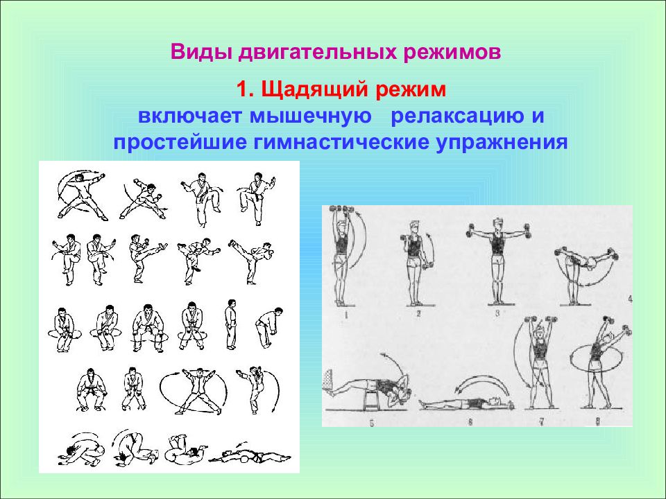 Режимы двигательной активности пациента. Щадящий двигательный режим. Двигательные режимы в ЛФК. Щадящие физические упражнения. Режимы двигательной деятельности в физическом воспитании.