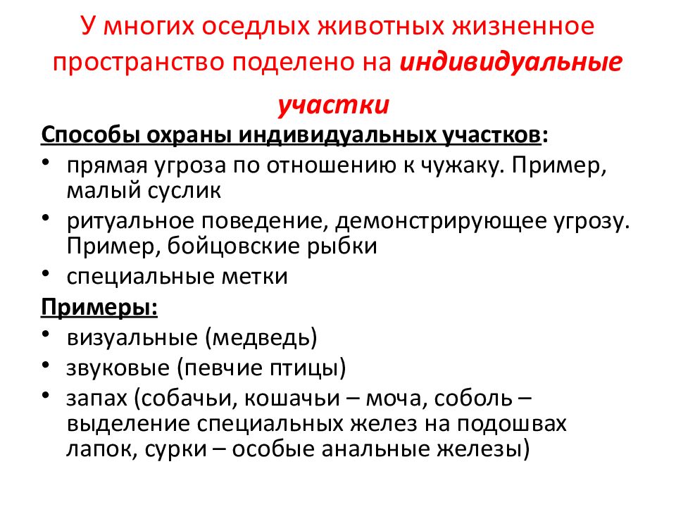 Экология популяций ученые. Индивидуальный участок животных. Жизненное пространство животных. Оседлые популяции примеры. Преимущества и недостатки оседлого образа жизни животных.