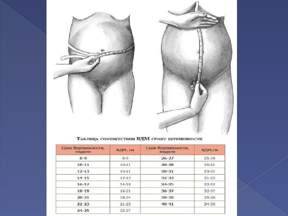 Рост матки. Окружность живота на 34 неделе беременности норма таблица. Измерение окружности живота и высоты дна матки. Высота стояния дна матки по неделям таблица при беременности норма. Беременность 34 недели высота стояния матки.