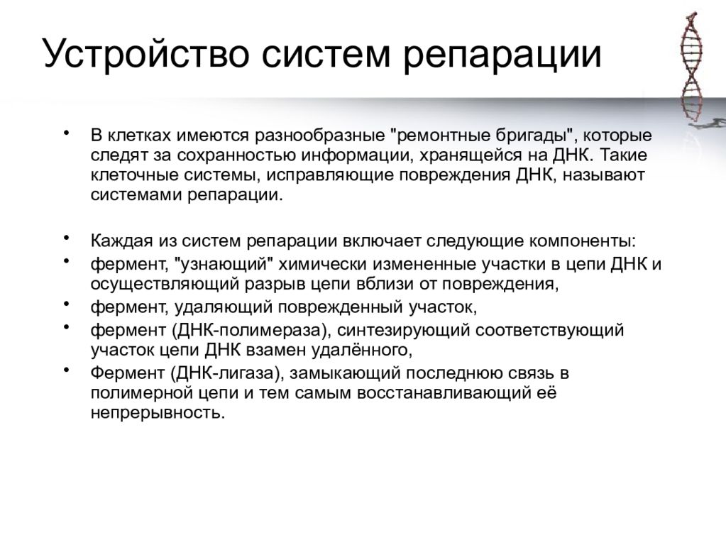 механизмы репарации повреждений днк. механизмы молекулярной репарации. механизмы молекулярной репарации. механизмы восстановления повреждений днк. механизмы молекулярной репарации.