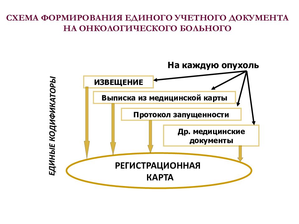 Общественные организации здоровье. Учётные документы онкобольных. Основные учетные документы на онкологического больного. Документация в онкологии. Учетная документация в онкологии.