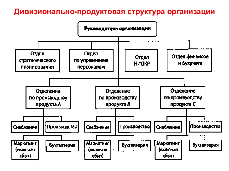 Структура учреждения образцы