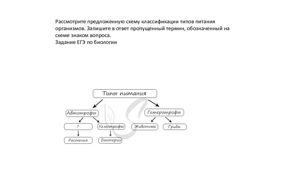 Задания по метаболизму клетки