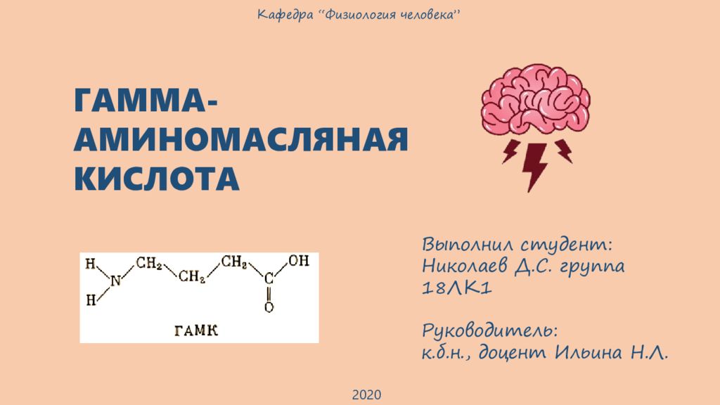ГАММА-АМИНОМАСЛЯНАЯ КИСЛОТА Кафедра “ Ф изиология человека ” Выполнил
