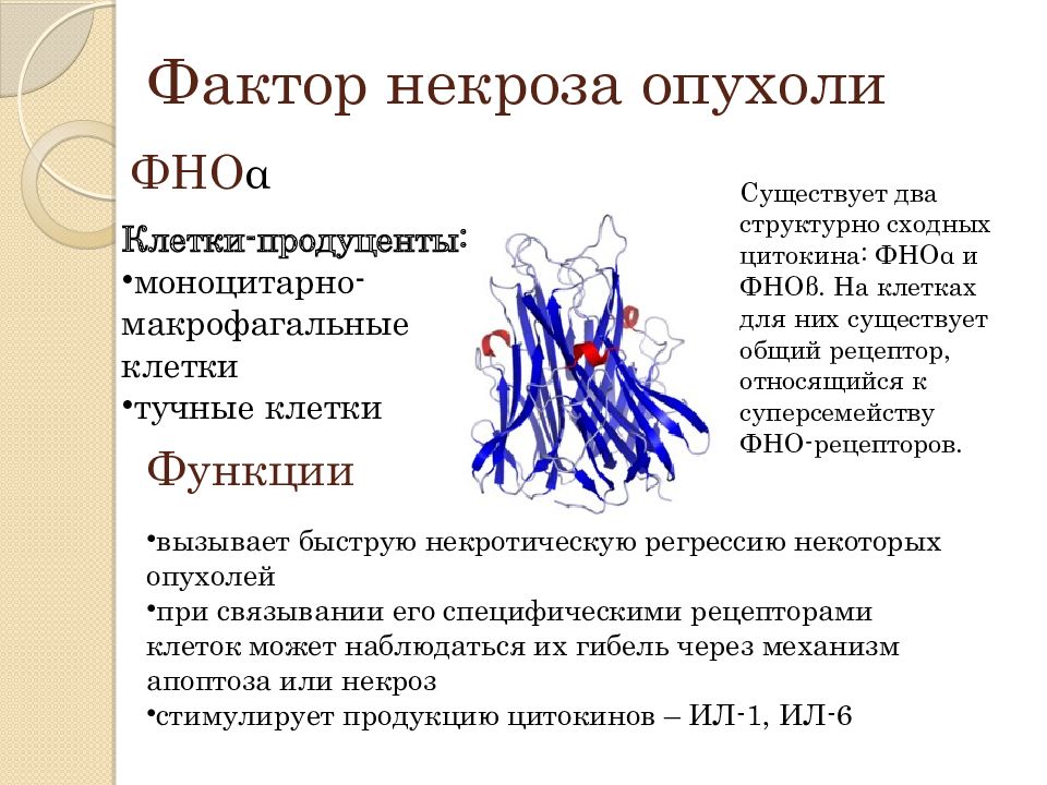 Фно фактор некроза опухоли