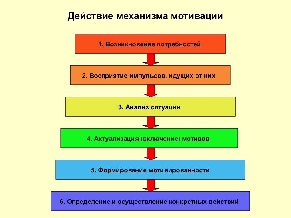 Механизм потребностей. Механизм формирования мотивации. Этапы формирования мотивации. Механизм формирования потребностей. Действие механизма мотивации.