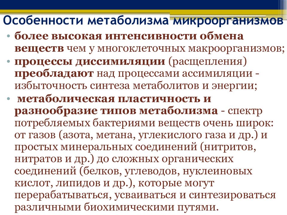 Интенсивность обмена веществ. Особенности метаболизма бактерий микробиология. Особенности микробного метаболизма. Особенности обмена веществ у микроорганизмов. Особенности метоболищма ьактериц.