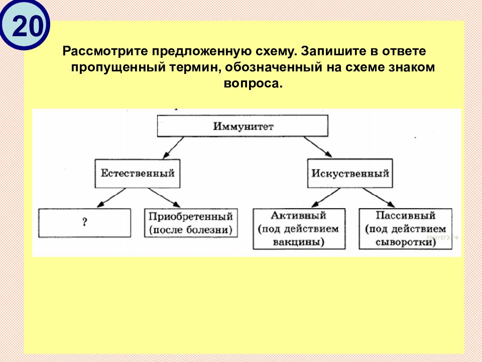 Пропущенный термин. Пропущенный термин, обозначенный на схеме знаком вопроса. Ответ:. Рассмотрите схему. Рассмотрите предложенную схему запишите в ответе пропущенный термин. Запиши понятие, пропущенное в схеме. ￼.