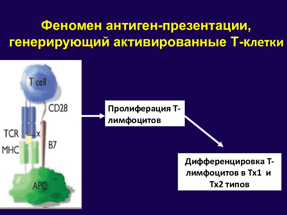 Демиелинизирующие заболевания презентация