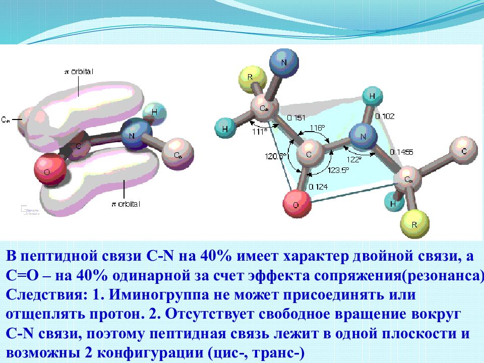 Аминокислоты белки пептиды презентация