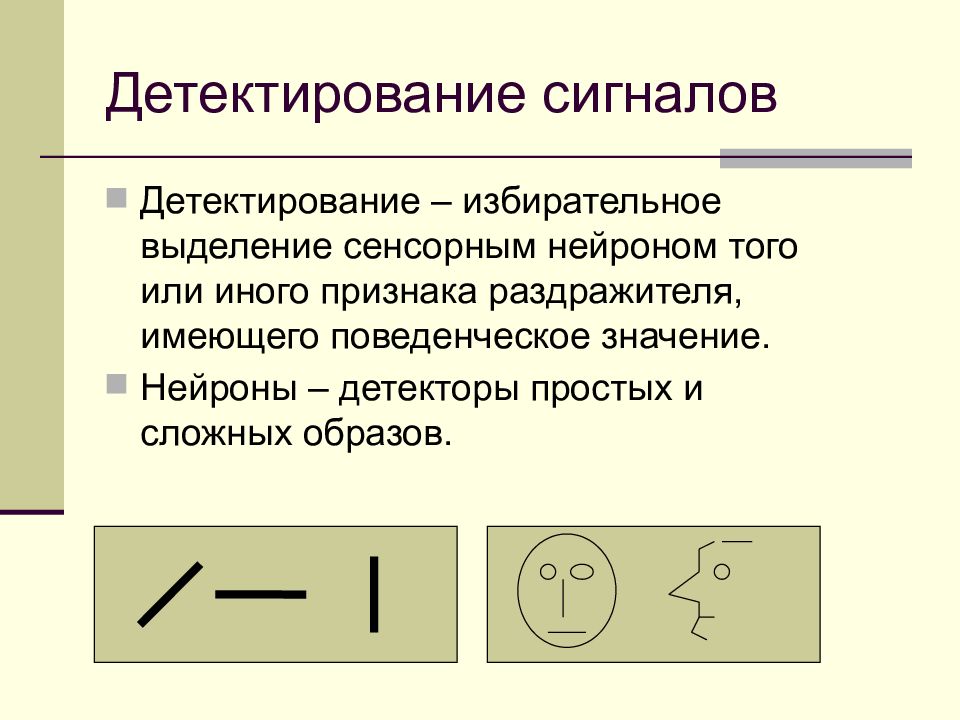 Детектирование. Нейроны-детекторы. Нейроны-детекторы и детекторная концепция кодирования.. Коэффициент детектирования.