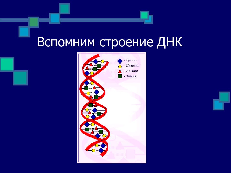 Как происходит сдача проекта в 9 классе