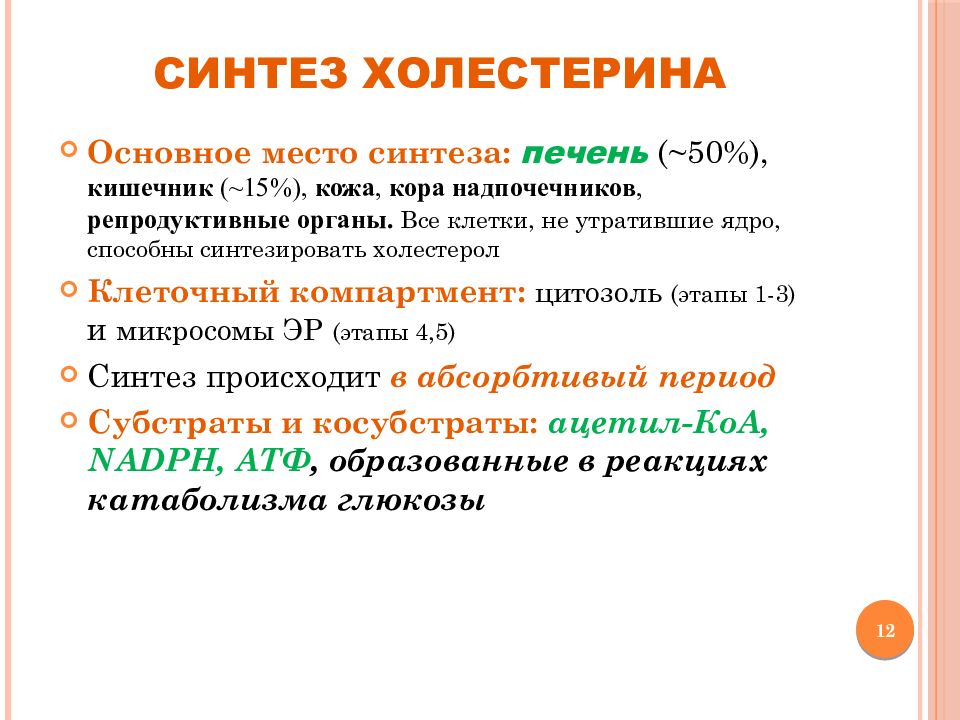 Этапы синтеза холестерина. Скорости биосинтеза холестерола от мышечной активности.