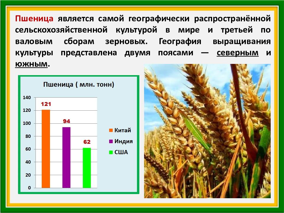 Зерновое хозяйство мира презентация