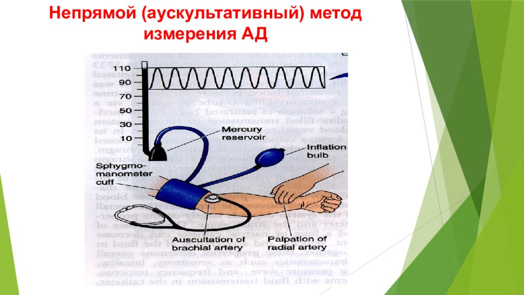 Алгоритм измерения ад. Аускультативный метод измерения артериального давления. Преимущества аускультативного метода измерения ад. Измерение давления аускультативным методом.