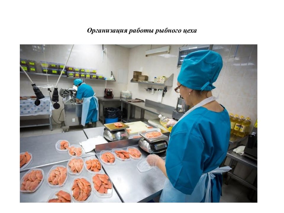 Организация работы рыбного цеха