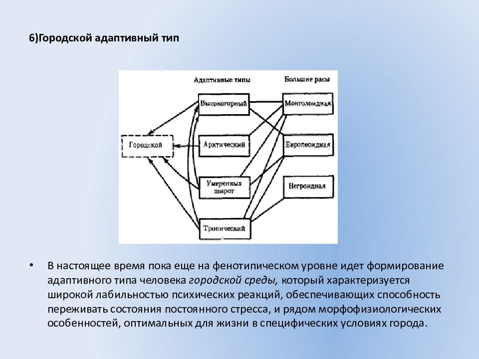 Адаптивные особенности