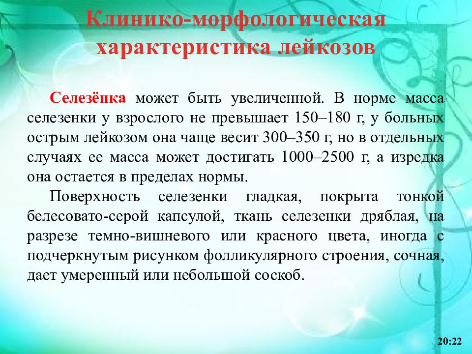 Норма селезенки у взрослого женщины. Морфологическая характеристика лейкозов. Норма селезенки у взрослого. Клинико-морфологическая характеристика это.