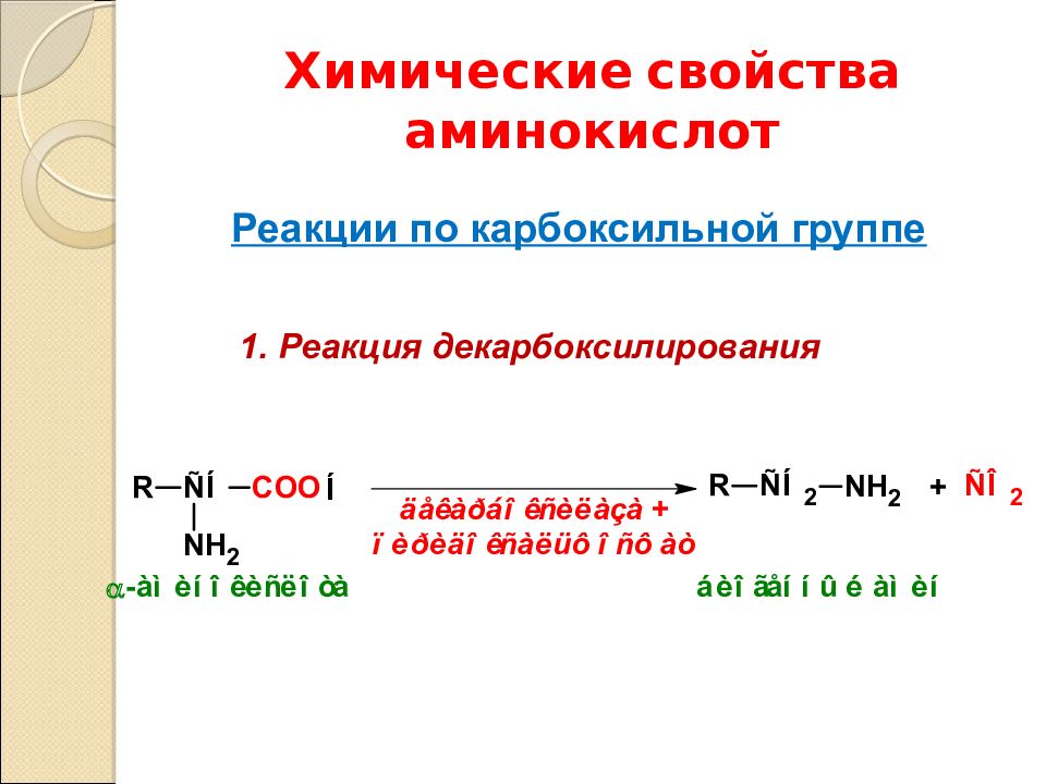 Химические свойства аминов 10 класс. Химические свойства аминокислот уравнения реакций. Химические свойства аминокислот реакция декарбоксилирования. Химические реакции аминокислот. Химические свойства аминокислот.