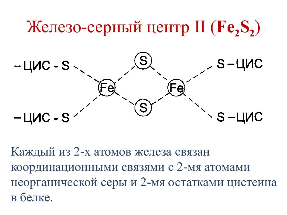 Серная железа. Железосерные кластеры. Железосерные центры. Железо-серные кластеры биохимия. Координационные связи железа.