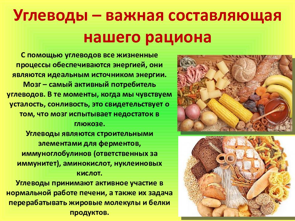 Углеводы в продуктах питания презентация