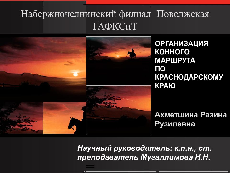 Набержночелнинский филиал Поволжская ГАФКСиТ