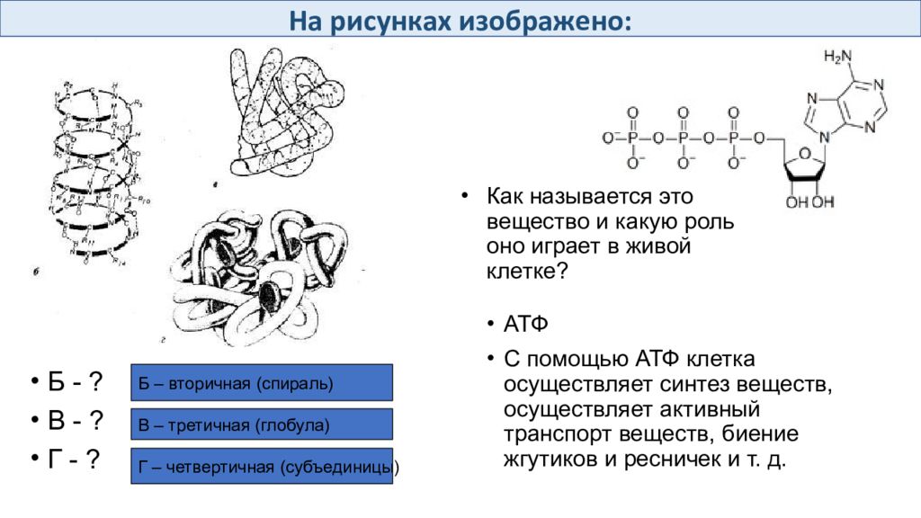 Химический состав клетки 6 класс тест