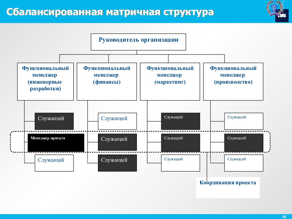 Организационная структура проекта по разработке по