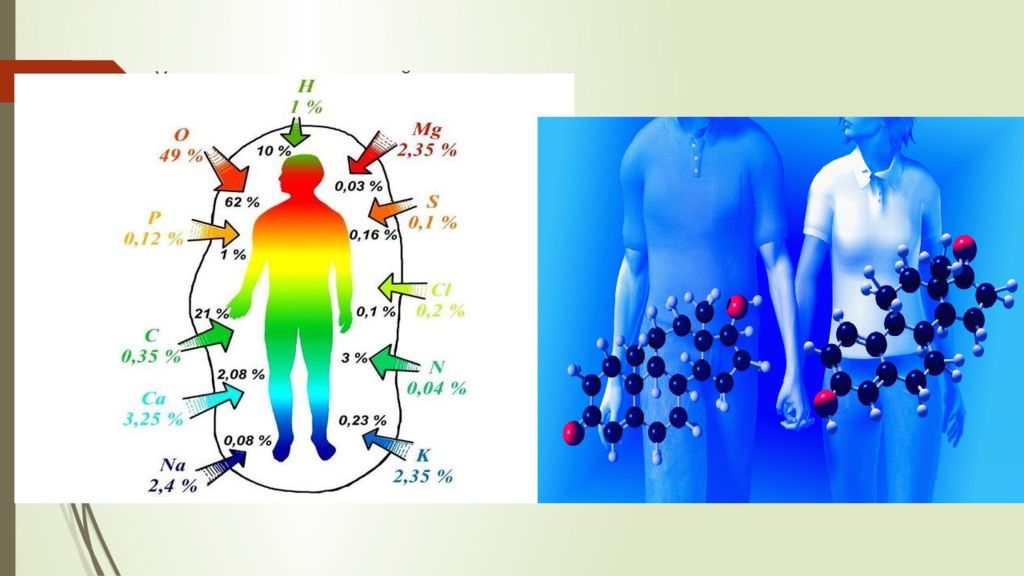 Химический человек. Химия в организме человека. Химия и человеческий организм. Человек состоит из элементов. Химия в теле человека.