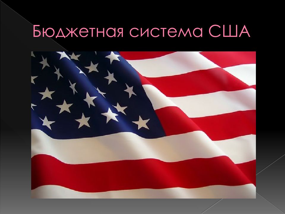 Сша презентация. Бюджетная система США. Система про США. Современная бюджетная система США.. Бюджетное устройство США.