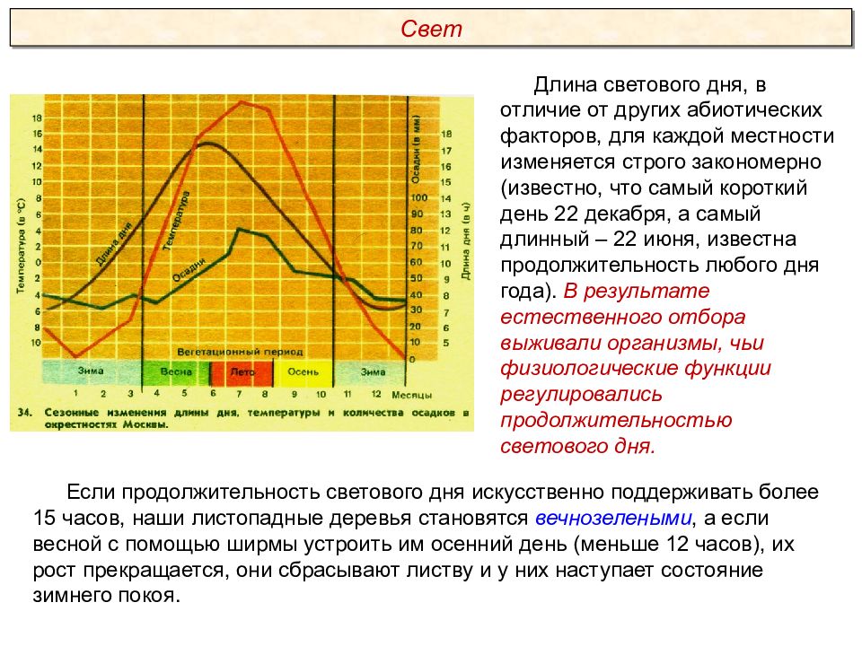 Презентация экология экологические факторы пименов