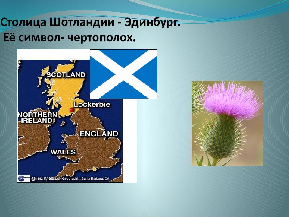 Символ шотландии. Цветок чертополоха символ Шотландии. Символ Шотландии цветок. Шотландия столица символ.