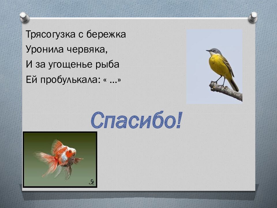 Вежливые слова» (загадки для детей)