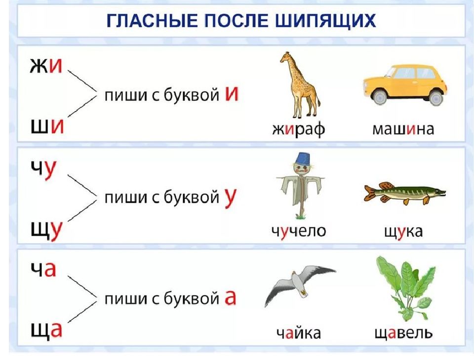 Урок 54 русский язык 1 класс 21 век презентация