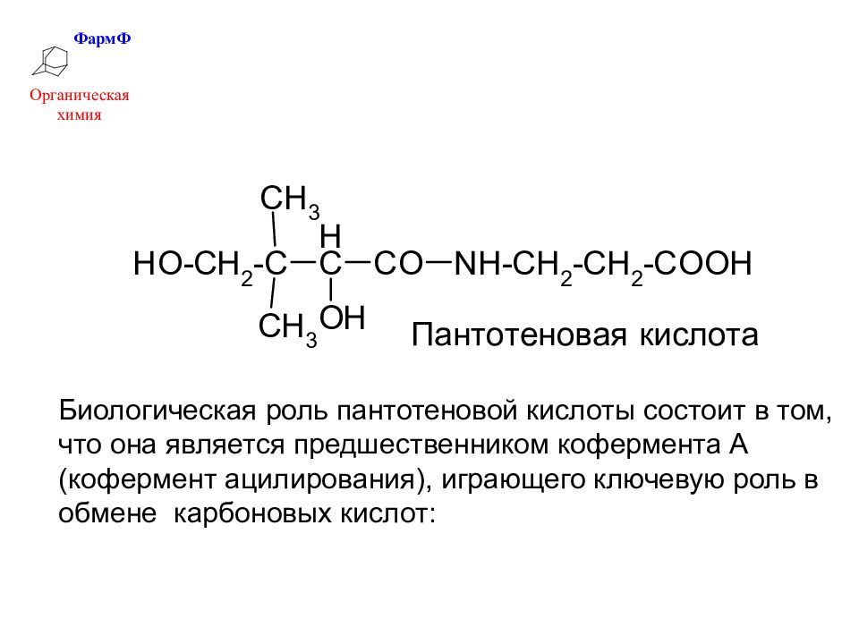 Биологическая кислоты. Пантотеновая кислота биохимия биологическая роль. Витамин в 5 пантотеновая кислота функции. Витамин b5 (пантотеновая кислота), структура, роль в организме.. Роль витамина в3 (пантотеновой кислоты).