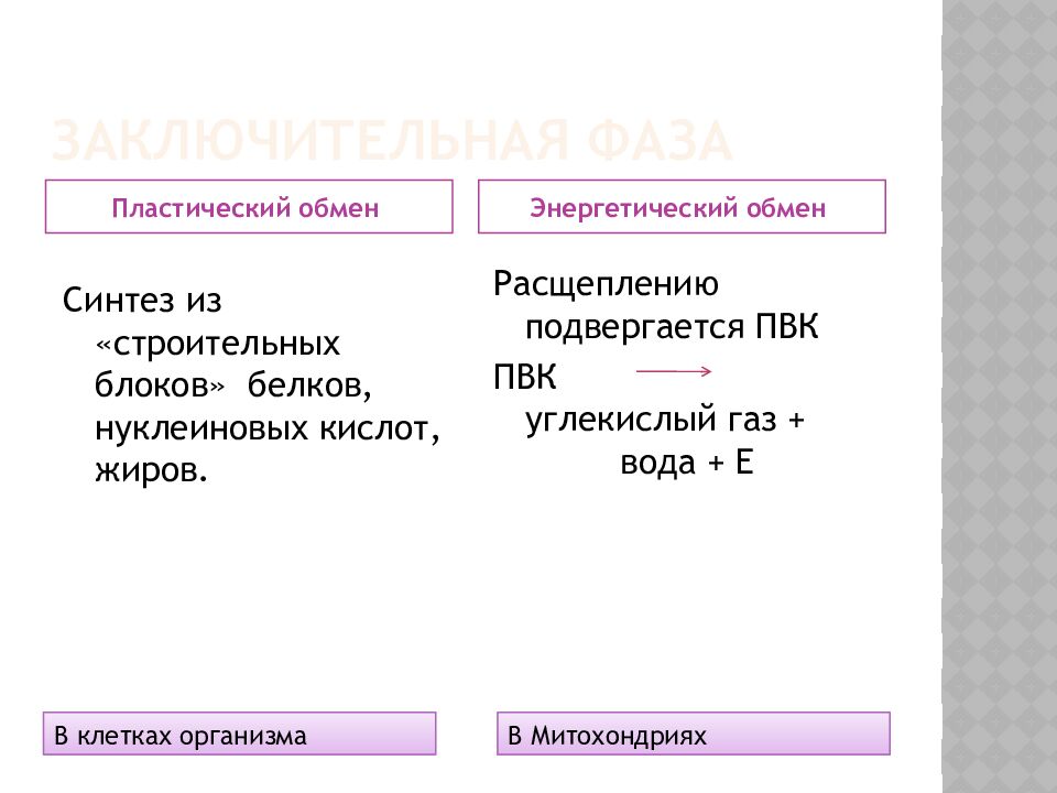 Заключительная фаза